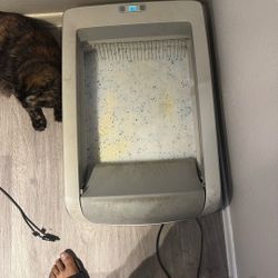 Self Cleaning Litter Box