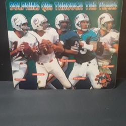 Miami Dolphins Mouse Pad
