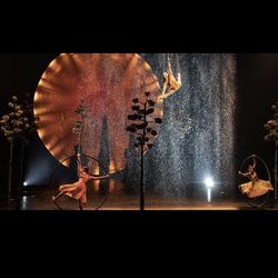 Cirque du Soleil LUZIA Tickets – TONIGHT (Hollywood / Gulfstream Park)