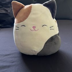 Squishmallows Cat Small 6-14 In