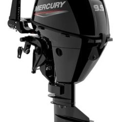 Mercury 9.9 Tiller
