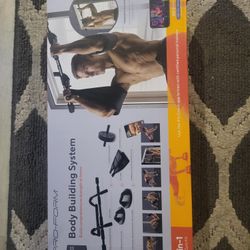 PRO-FORM 6-in-1 Door Gym Kit Body Building System 
