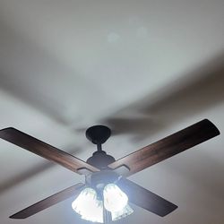 Sealing Fan