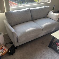 Gray Loveseat Couch