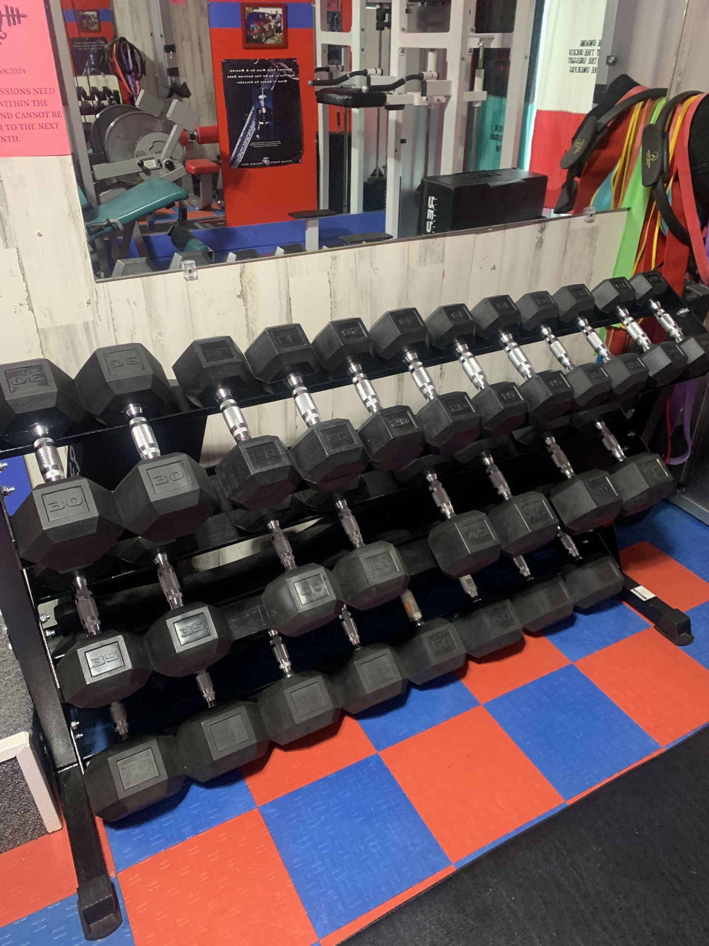 Gym Equipment