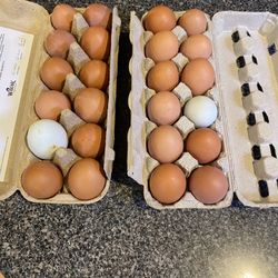 Farm Fresh Chicken And Duck Eggs