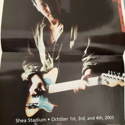 Springsteen Shea concert poster 