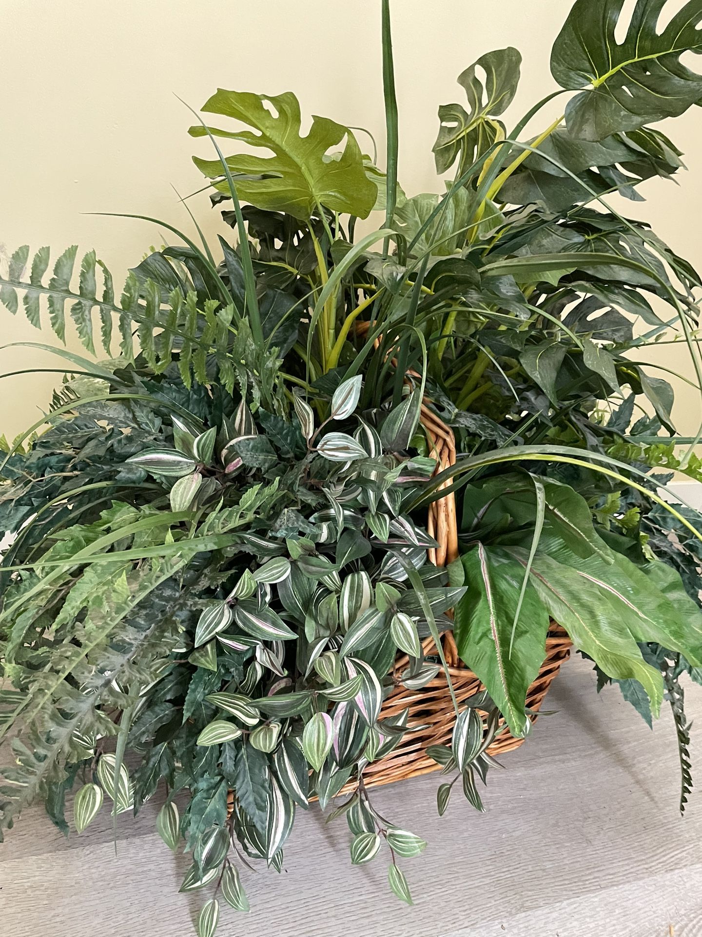 Beautiful Monstera Faux Plant In Wicker Basket 27 Inches Tall X 24 Inches Wide