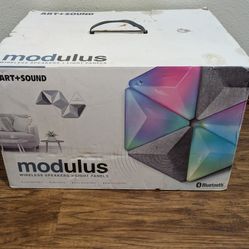 Art+Sound Modulus Wireless Bluetooth Speakers and LED Light Panels Asset


High-intent multimedia asset designed for custom atmospheric lighting and a