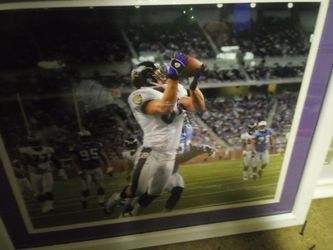 Todd heap signed 16x20