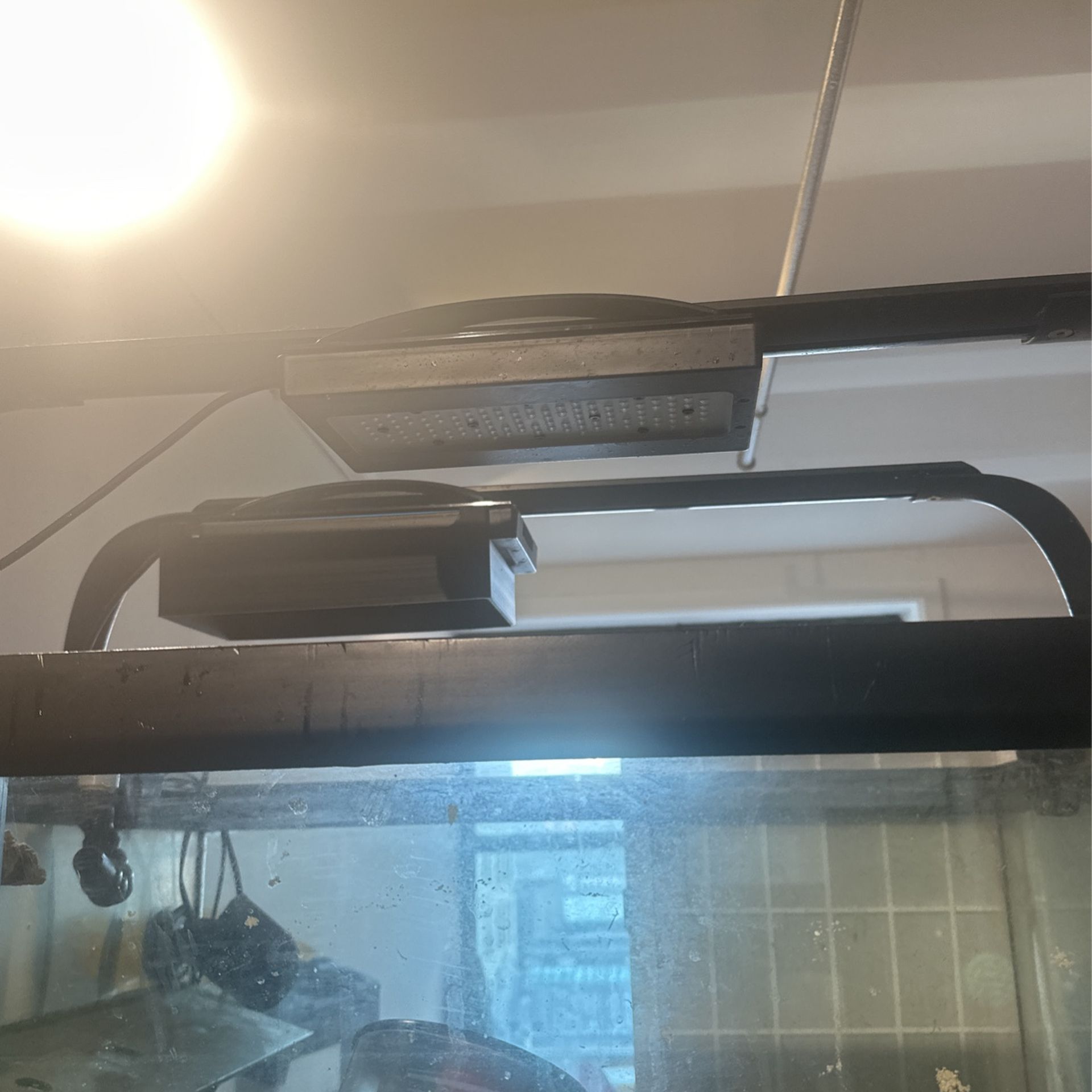 Raidion Blue lights For Fish Tank