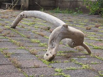 Architectural Serpent Driftwood Log – 7ft Statement Piece