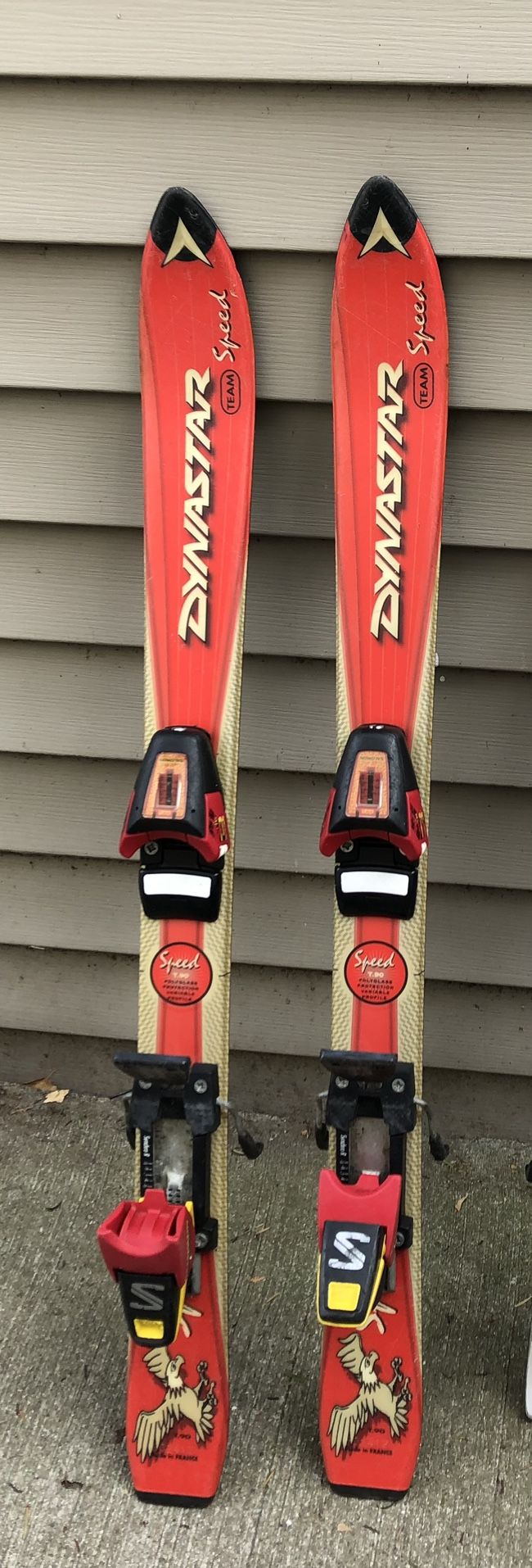 Dynastar Team Speed Salomon Kid’s Skis