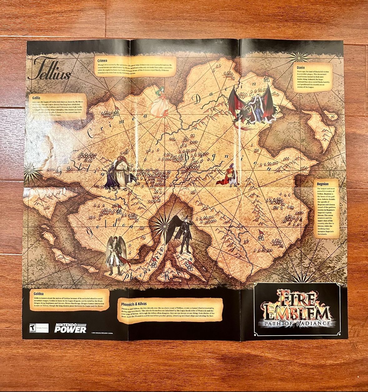 VTG Nintendo Power Poster Fire Emblem Path Of Radiance Landscape 20” X 22” 2005
