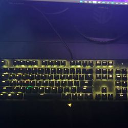 Razer Mamba Elite Wired Gaming Mouse + Razer Blackwidow X Chroma Gaming Keyboard 