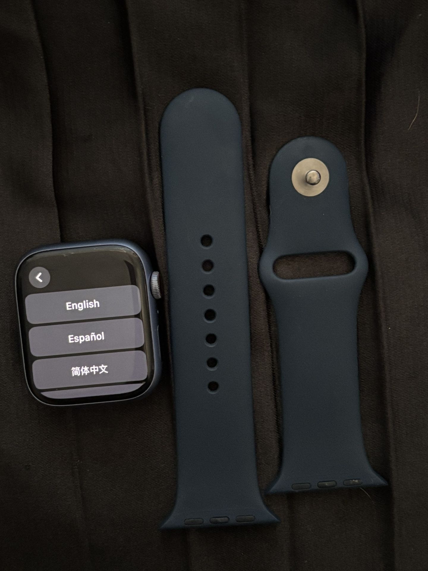Blue Apple Watch Series 7 – 45mm (GPS + Cellular)