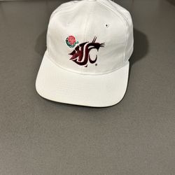 Cougs Hat