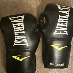70lb Punching Bag with Gloves