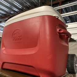 Large Ice Cooler