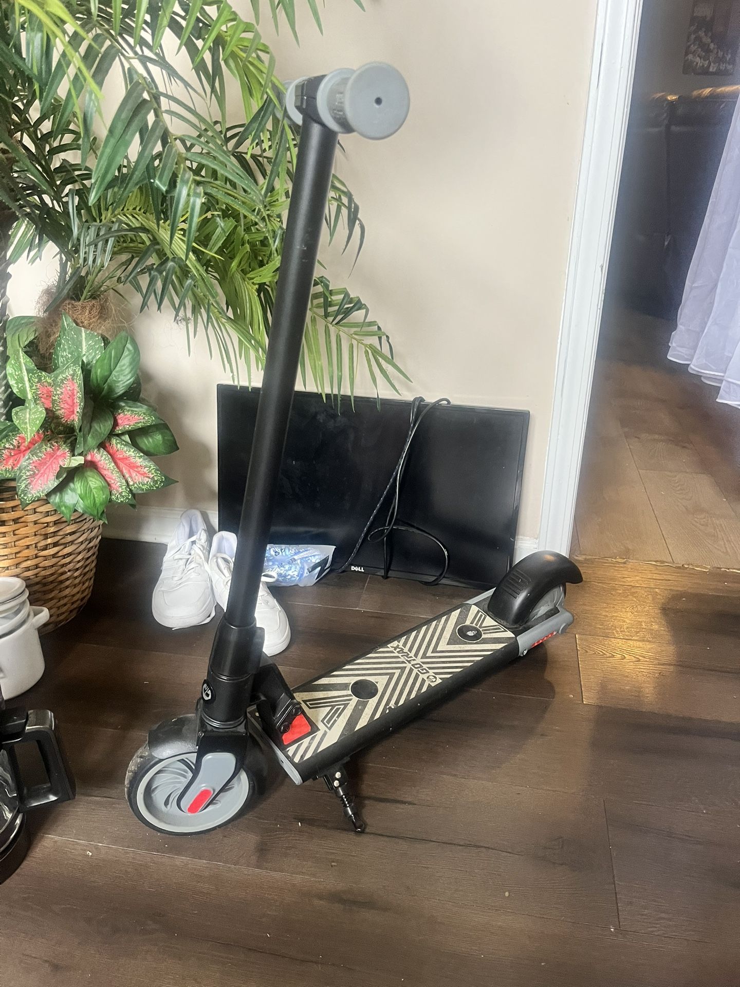 Youth Scooter