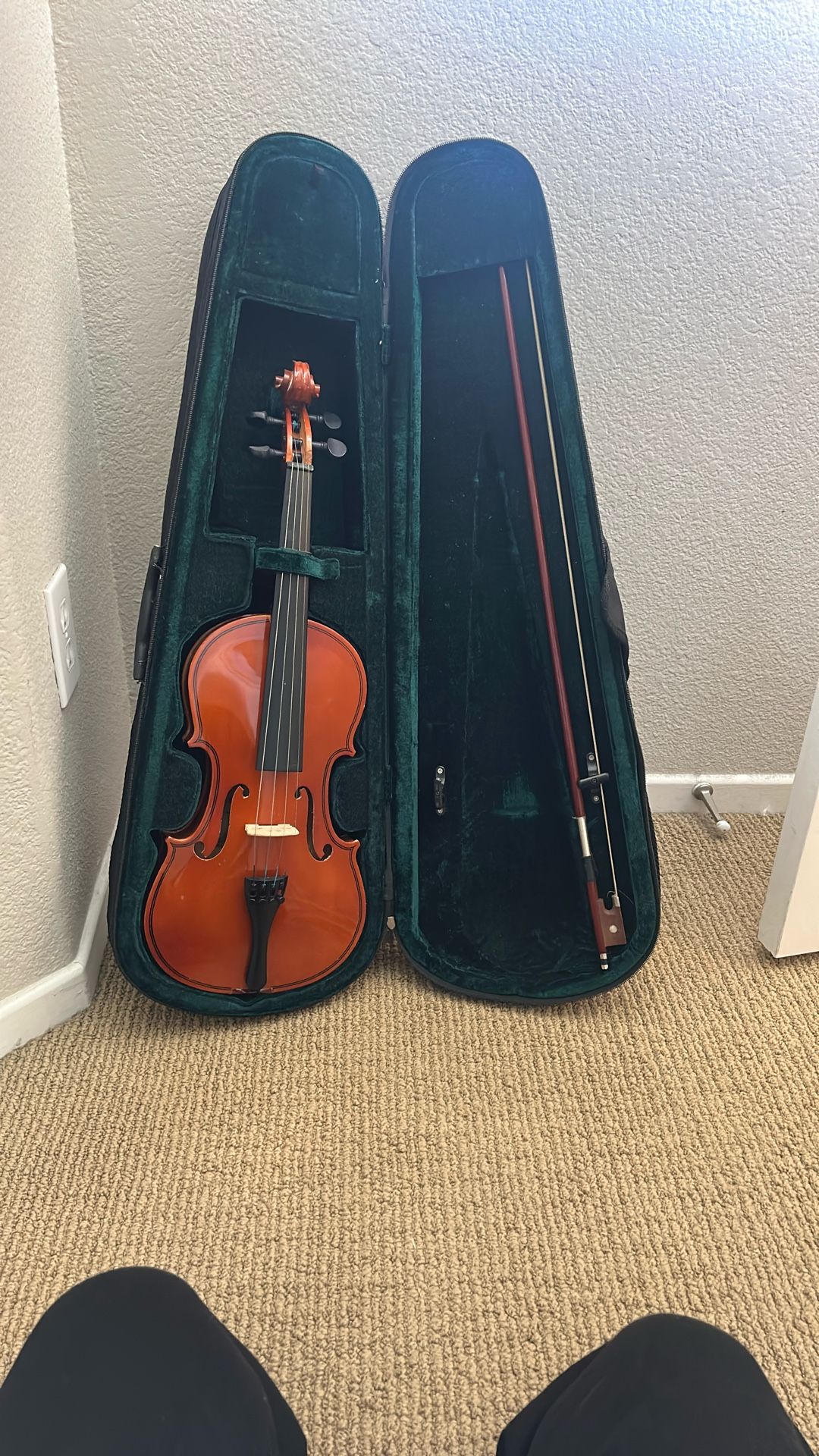 Violin