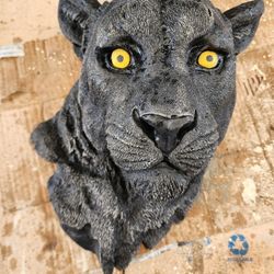 Leopard 🐆 Face For Sale