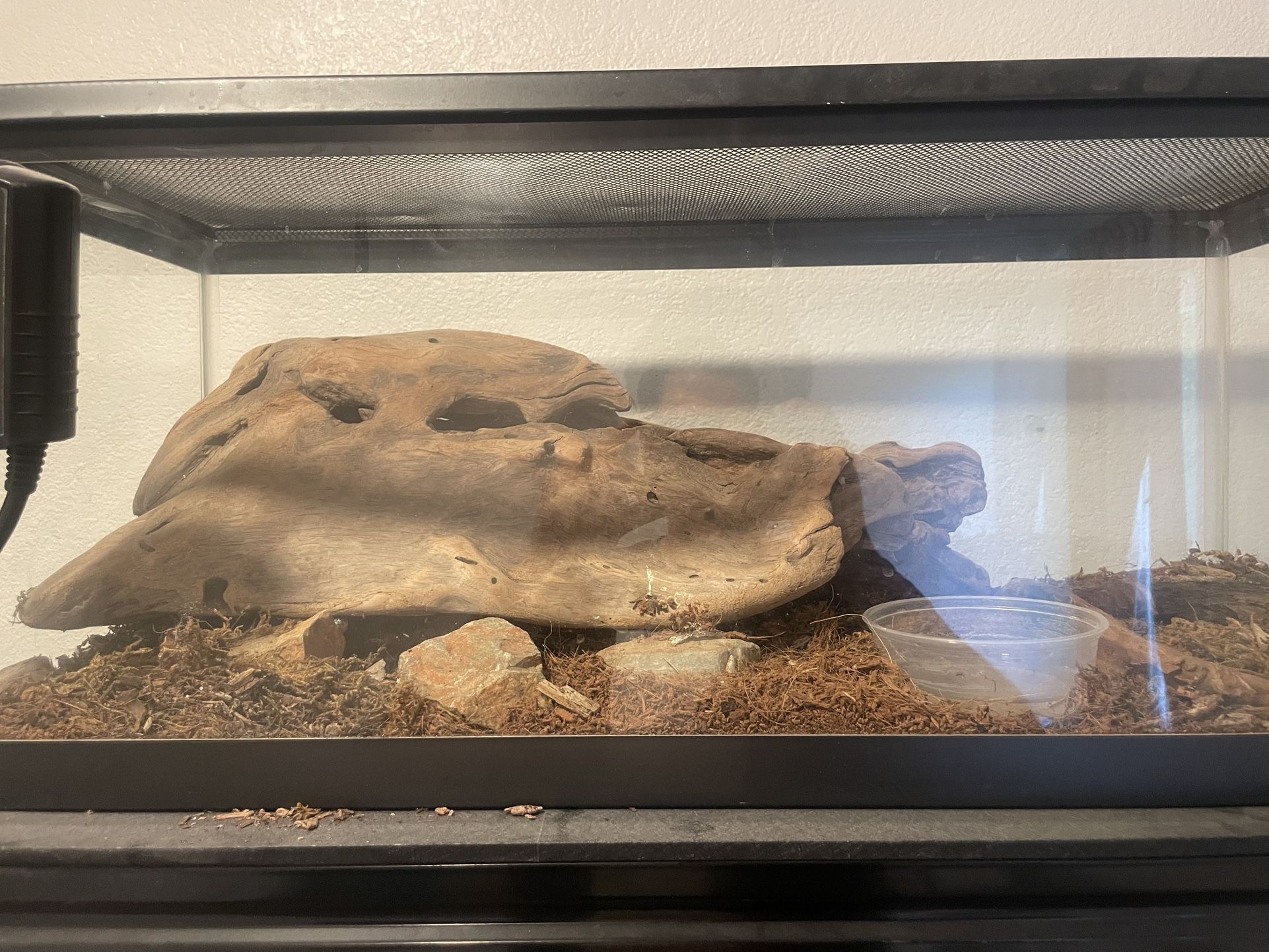 Kingsnake Enclosure
