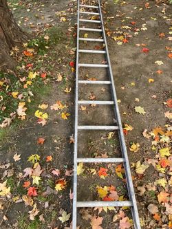 12’ Ladder