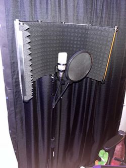 Nuemann tlm 102 studio microphone full mic stand set up