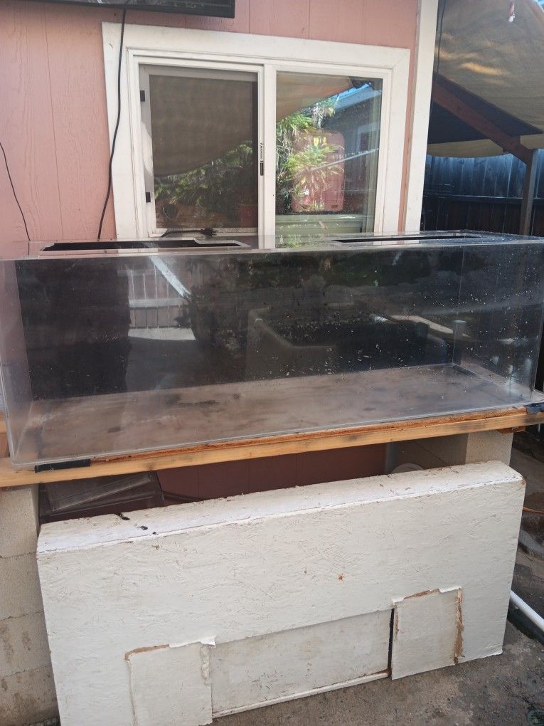 fish tank for sale