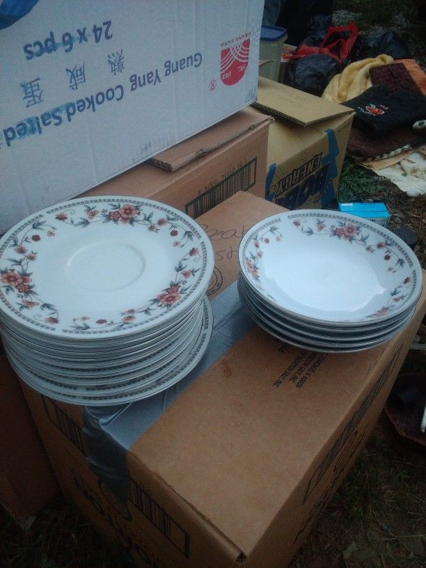 Proclin China Ware