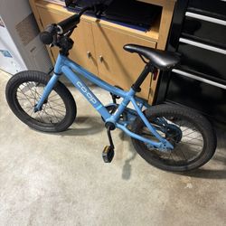 Kids REI Co-Op Rev 16 Bike/Bicycle
