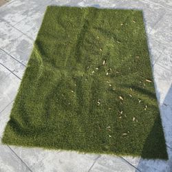 Artificial Grass  6x6 
