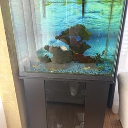 50 Gall Aquarium With Stand