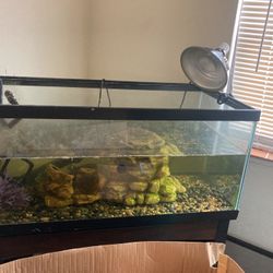 Tank With Stand-moving Need To Sell