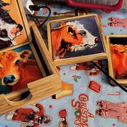Big sky carvers coasters cows