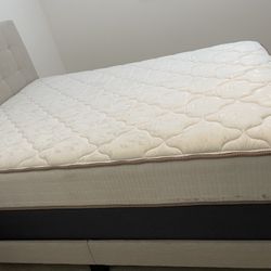 Queen Mattress 
