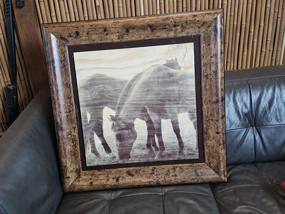 Western Horse Picture