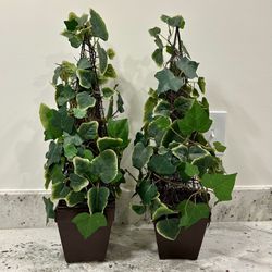 Two (2) Artificial Plants (1 Ft 10)