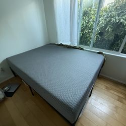 Tuft and Needle Queen Mattress 