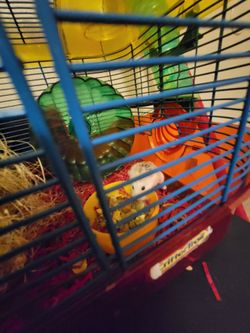 Hamster Cage