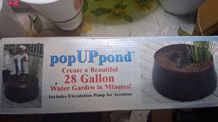 Pop Up Pond