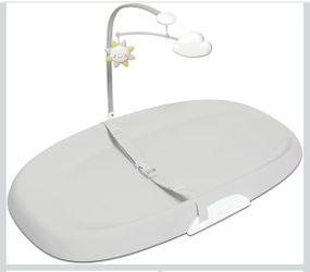 Skip Hop Changing Pad