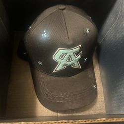 Dandy X Canelo Tiffany 