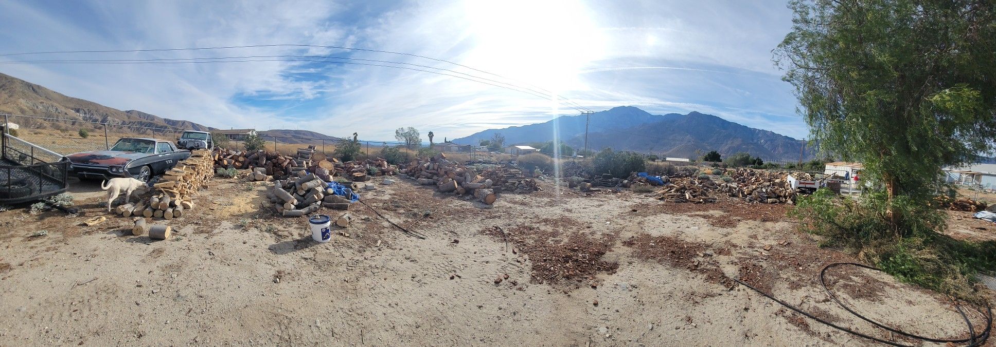 Firewood For Sale