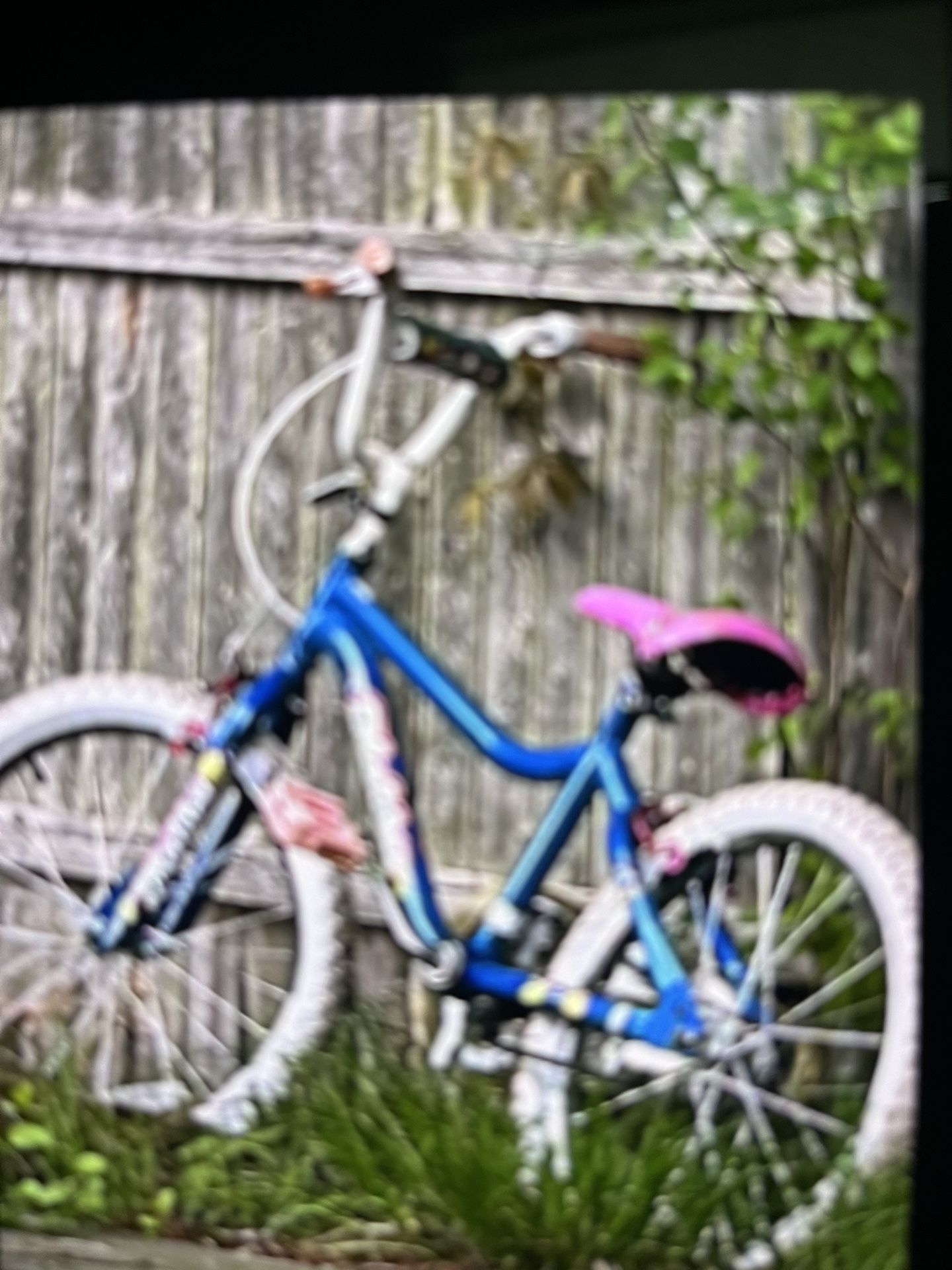 Girl Bike Size 24