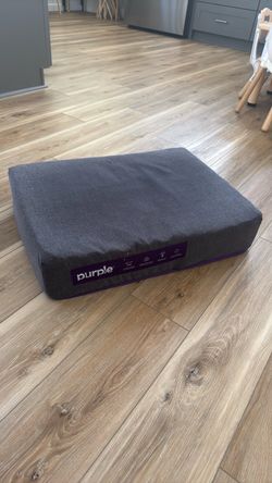 Purple Dog bed