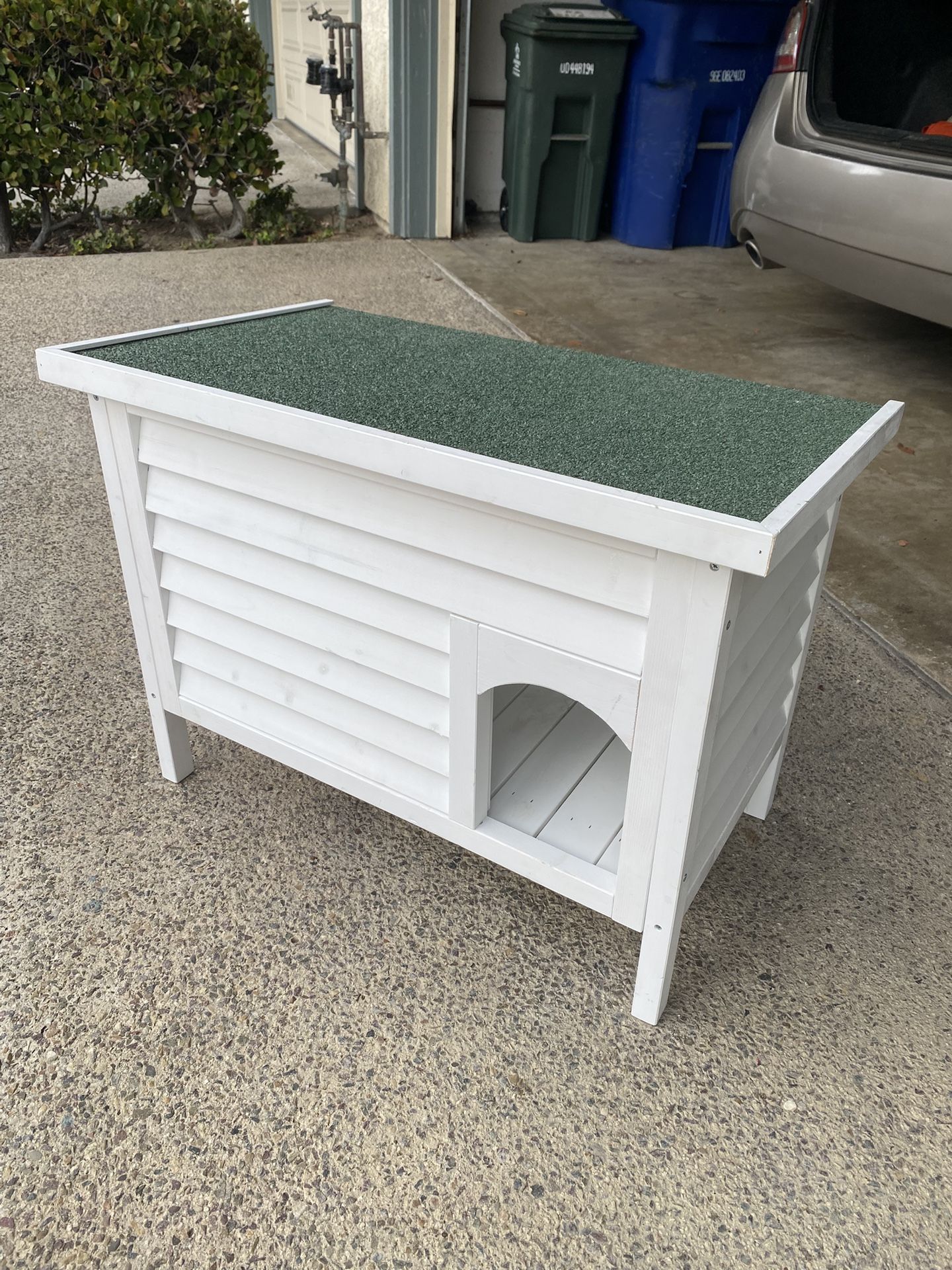 Cat House, Outdoors or Indoors