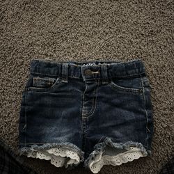 Cat & jack 2 T shorts