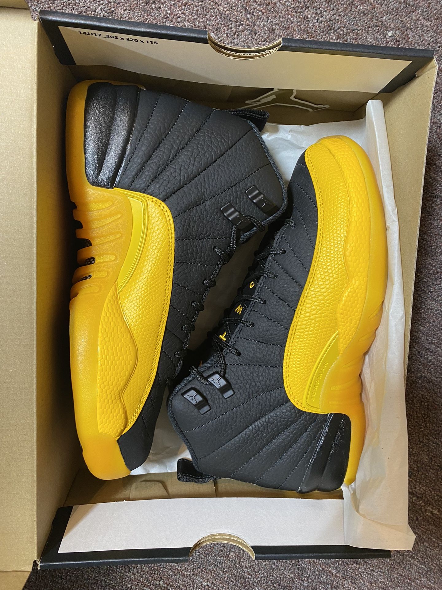 Jordan 12 Retro “University Gold”